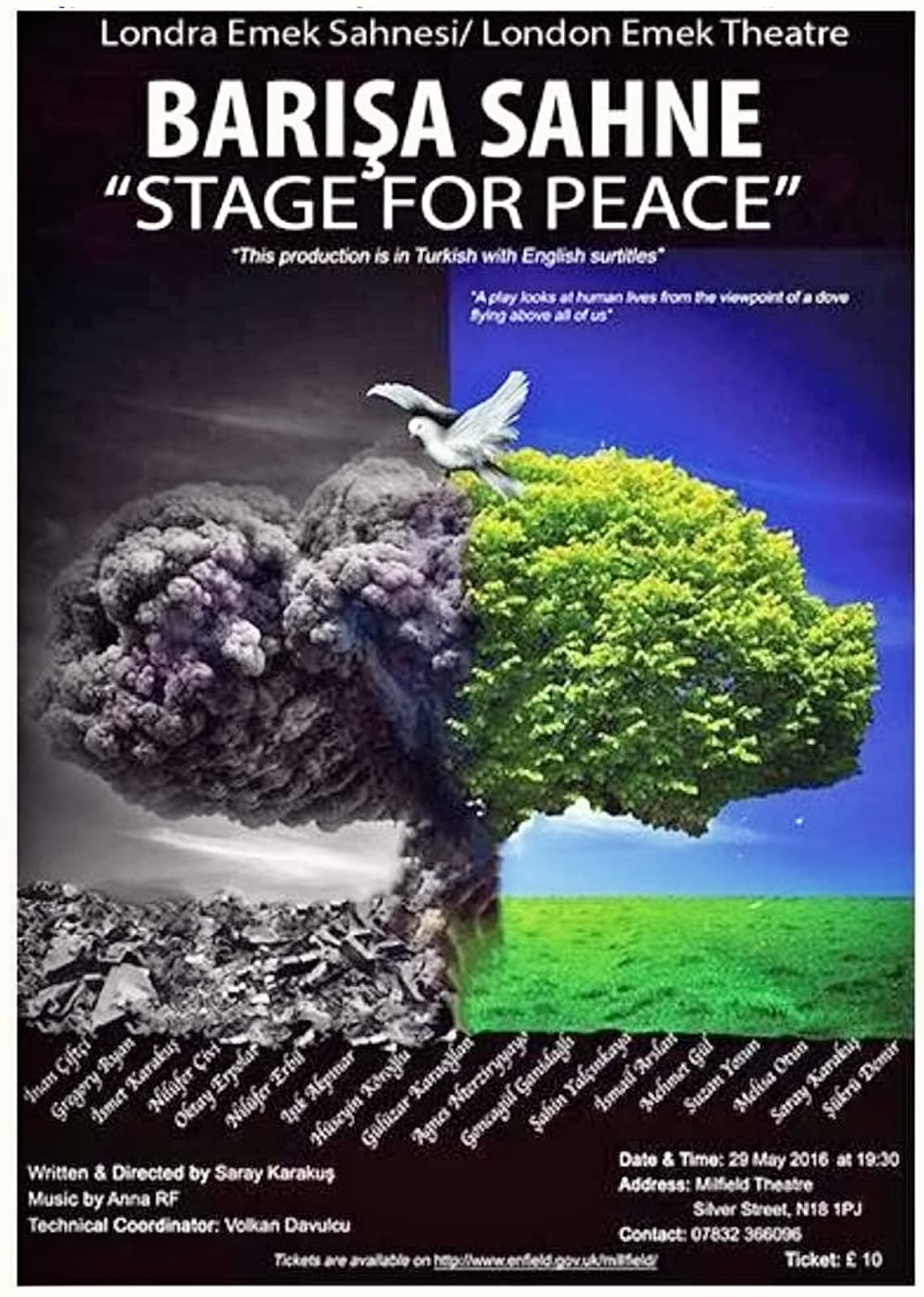 Stage For Peace poster